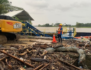 El Ministerio de Ambiente de Guatemala y la organización The Ocean Cleanup reutilizan los desechos de madera del río Motagua para la elaboración de muebles y leña.