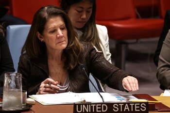 Dorothy Shea, Representante en funciones