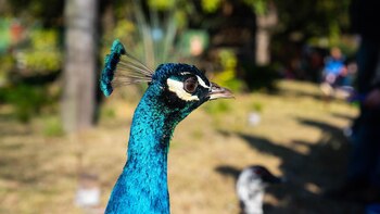 El Zoo de Buenos Aires