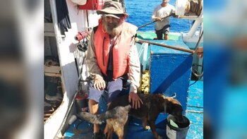 Quién rescató a Tim Shaddock,