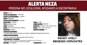 (foto: Alerta Neza/Twitter)