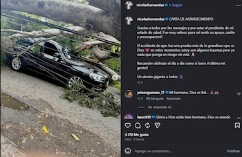 El defensor del cuadro Escarlata compartió las imágenes de cómo quedó su carro luego de la caída del árbol-crédito @nicolashernandez/Instagram