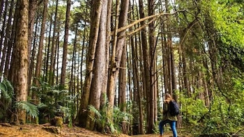 El Salvador fue sede del primer foro internacional de sostenibilidad y responsabilidad social en turismo fuera de México