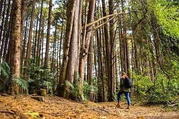 El Salvador alberga el primer foro internacional de sostenibilidad y responsabilidad social en turismo fuera de México, posicionando al país como referente regional. (Cortesía: Ministerio de Medio Ambiente)