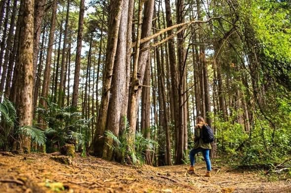 El Salvador alberga el primer foro internacional de sostenibilidad y responsabilidad social en turismo fuera de México, posicionando al país como referente regional. (Cortesía: Ministerio de Medio Ambiente)