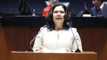 La legisladora ya formaba parte