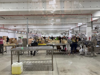 Amplio interior de una fábrica: trabajadores en mesas y máquinas empacando productos en cajas y botellas, con estantes llenos y suelo de cemento