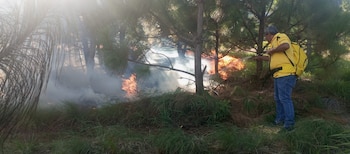Bomberos, guardaparques, técnicos de MiAmbiente y voluntarios trabajaron durante más de una hora para impedir que el fuego ingresara al área protegida. Tomada de MiAmbiente