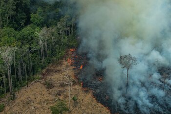 Incendios forestales en Rondonia (Europa