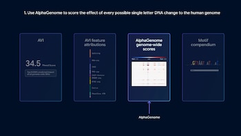 Cuatro paneles digitales con gráficos y datos sobre análisis genético de AlphaGenome sobre un fondo azul oscuro