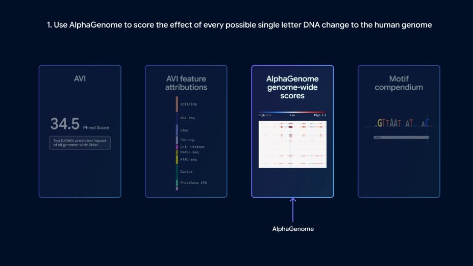AlphaGenome Atlas ayuda a identificar cuáles son las variantes genéticas con mayor posibilidad de generar consecuencias biológicas. (Google)