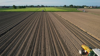La campaña de siembra de