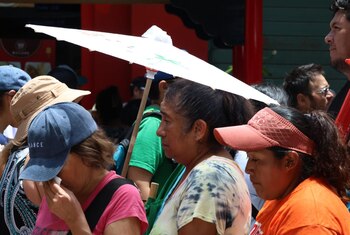 La ola de calor azota