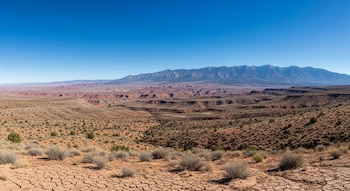 Cambios en la composición de