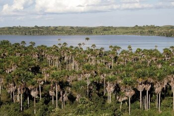El lugar también es un