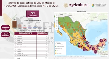 México tiene 701 casos activos