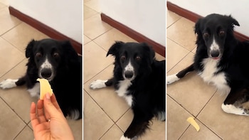 La dueña reveló que suele