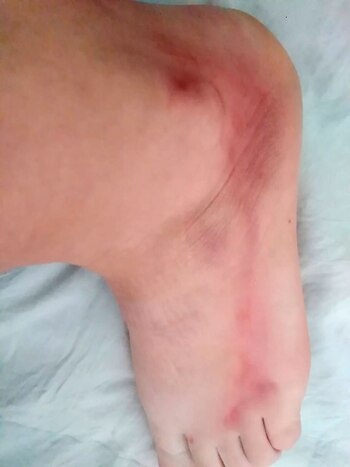 “Siempre estaba detrás mío. A mi hija le puso un transporte escolar especial para vigilarnos y controlarnos”, señaló la víctima