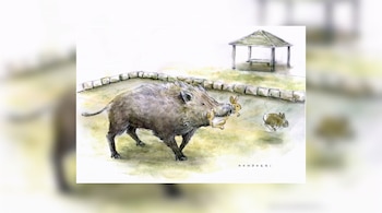 Un jabalí lleva dos conejos en su boca, un tercer conejo corre cerca. Una valla de piedras y un cenador se ubican en el fondo.