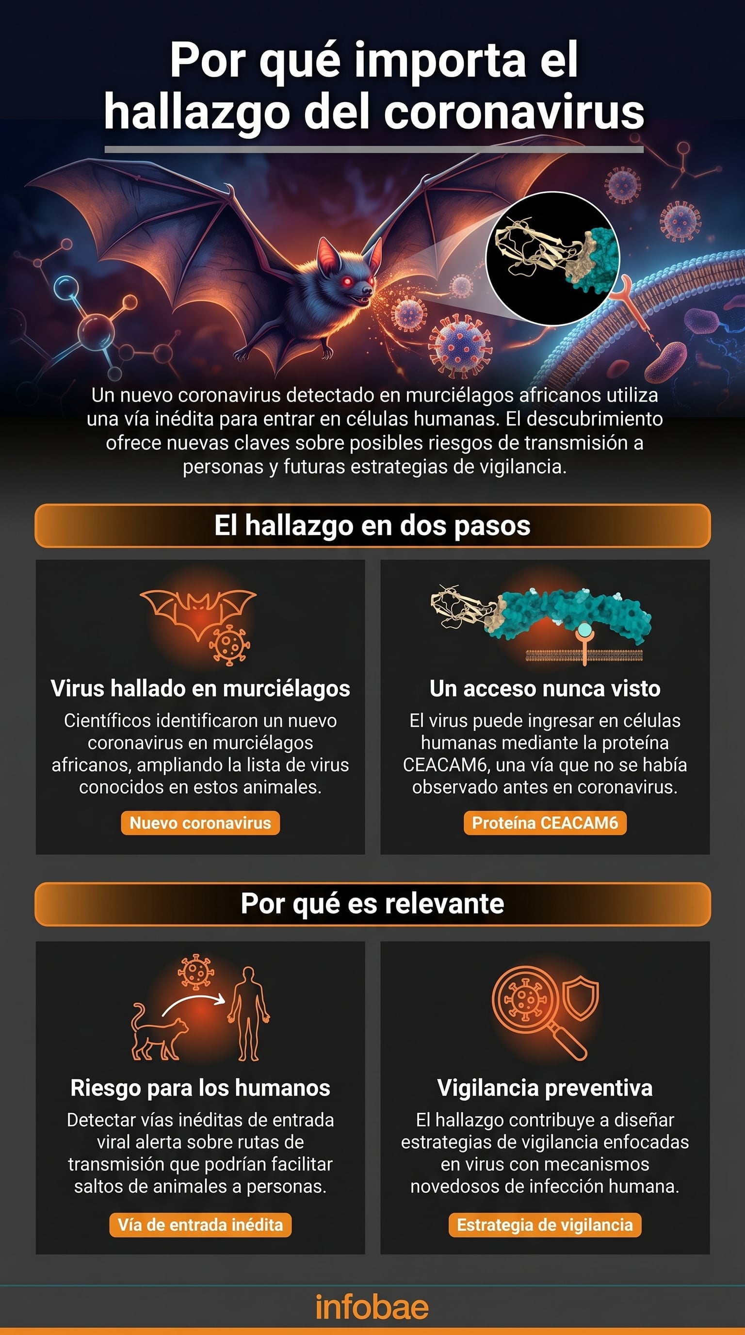 (Imagen Ilustrativa Infobae)