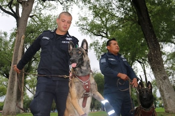 Laika participó en el rescate