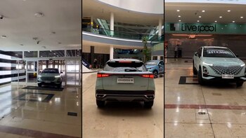 Los internautas se mostraron sorprendidos,