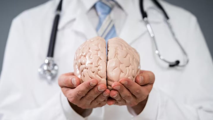 Un estudio de la Universidad de Nueva York identifica la corteza orbitofrontal como clave en la toma de decisiones ante la incertidumbre (Imagen Ilustrativa Infobae)