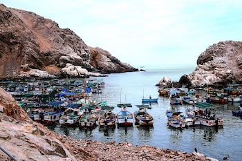 Entre as instalações licenciadas estão 247 embarcações artesanais e 245 agências de transporte terrestre para transferência de produtos hidrobiológicos.