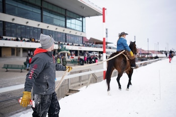 En el skijoring norteamericano, el