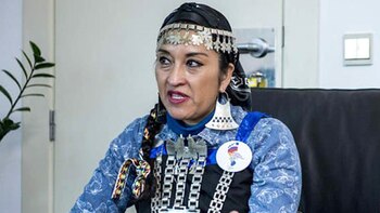 La activista mapuche volvió a