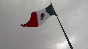 CRÉDITO: X @HomoExNovo