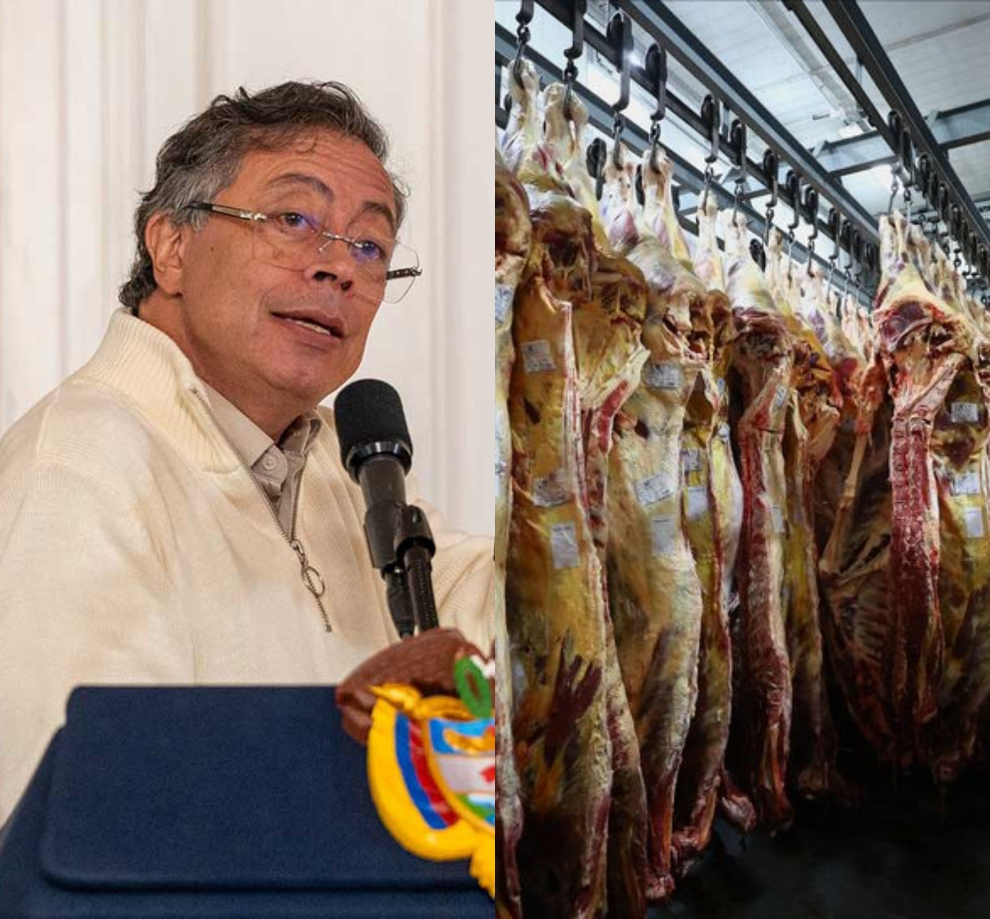 Fedegán responde a Petro por propuesta de frenar exportaciones de carne:  “Usted está equivocado y hace política electoral” - Infobae