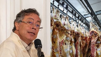 Gobierno Petro anunció que dejará