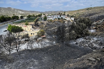 Inmediaciones del restaurante Anita, punto en el que se inició el incendio de Los Gallardos, en Almería. (EFE/ Carlos Barba)