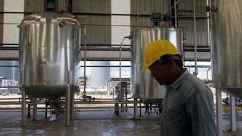 Biocombustibles, la solución para la descarbonización del transporte en la transición energética
