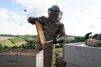 Beekeeper: Sentencia de muerte