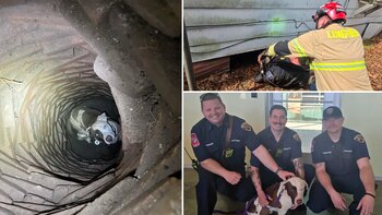 El oficial Bobby Jumper localizó