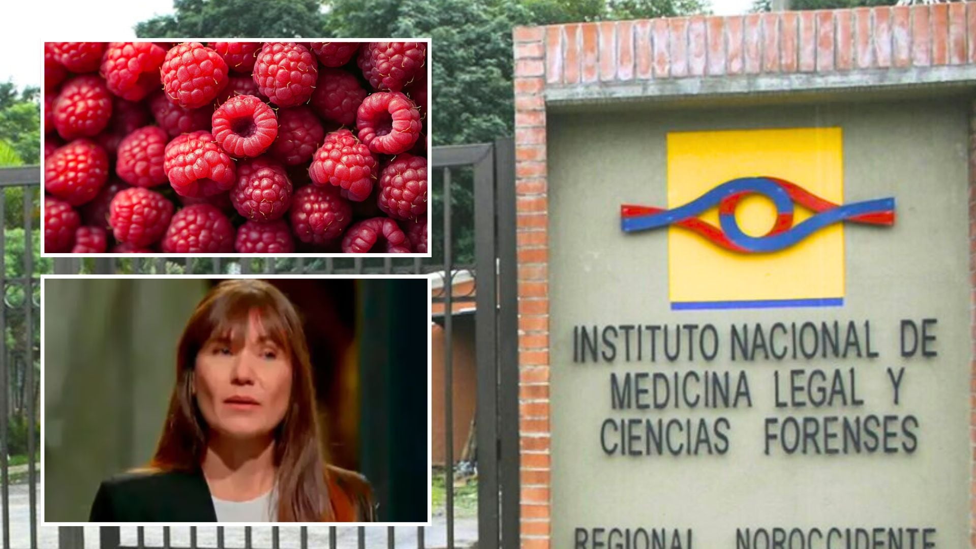 La empresaria viajó a Europa tras el crimen - crédito Visuales IA, Medicina Legal y SharkTank