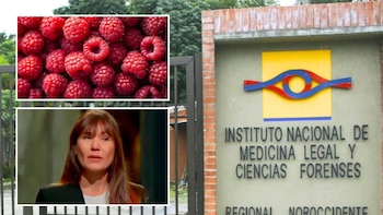 El hallazgo vincula directamente las