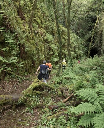 Ruta dos Fornos, en Lugo