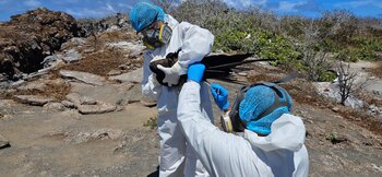 La Dirección del Parque Nacional