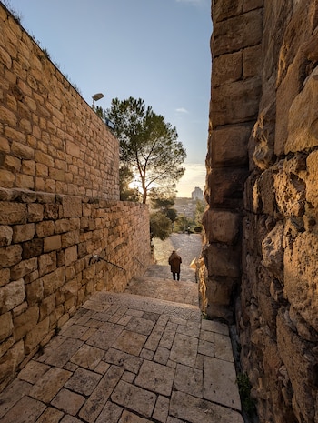 La única venganza que el