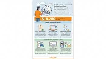 Após a candidatura e pagamento, o cidadão recebe o seu certificado digital de cidadania em formato PDF por email e pode descarregá-lo de imediato - crédito Imagem Ilustrativa Infobae/Registo Nacional