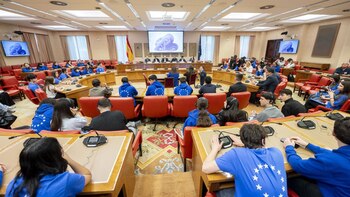El Congreso acoge una simulación del Parlamento Europeo en la que han participado más de 100 estudiantes, 36 españoles