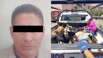 Eduardo "N" solía recoger perros