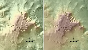 Un mapa en línea lleva