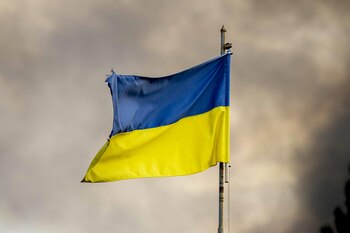 Imagen O7QVIWIR45FKVPKJ4JBTC3JUOQ