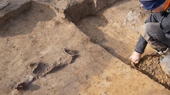 Arqueólogos acaban de desenterrar los