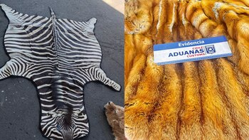 Cancillería ya instruyó un sumario