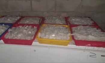 El material fue hallado por